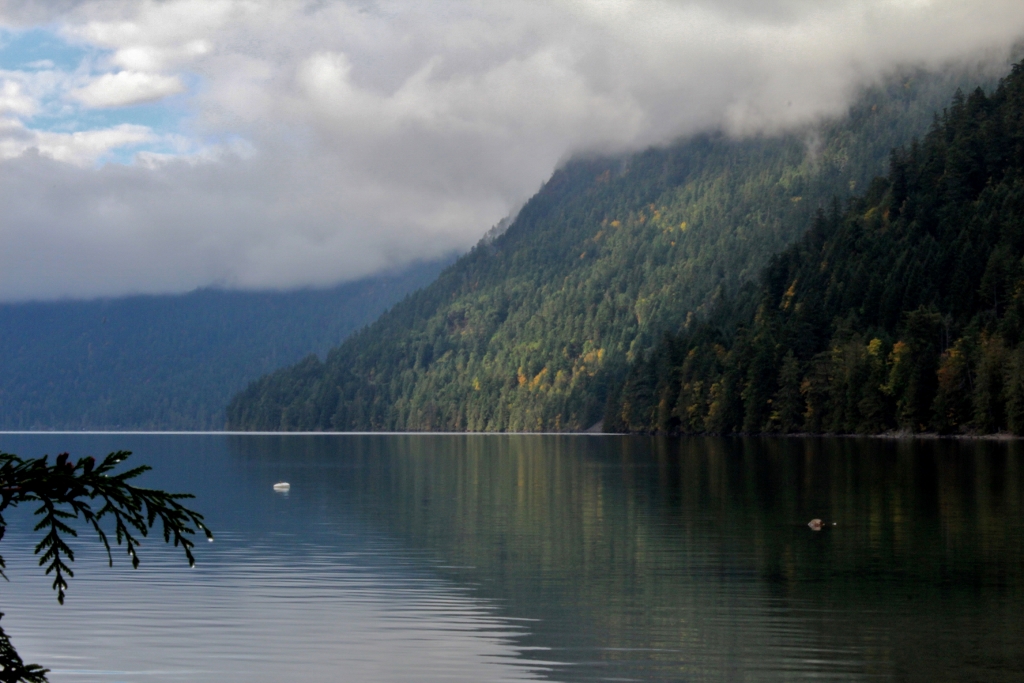 Stillness - Cameron Lake, BC